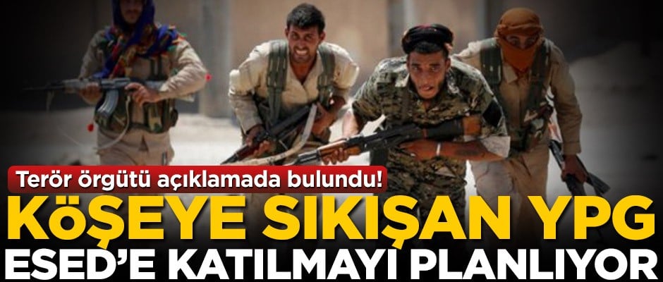 Soçi mutabakatı sonrası köşeye sıkışan YPG, Esed'e katılmayı planlıyor