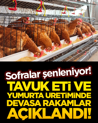 Sofralar şenleniyor! Tavuk eti ve yumurta üretiminde devasa rakamlar açıklandı!