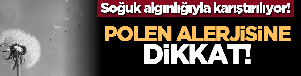 Soğuk algınlığıyla karıştırılıyor! Polen alerjisine dikkat