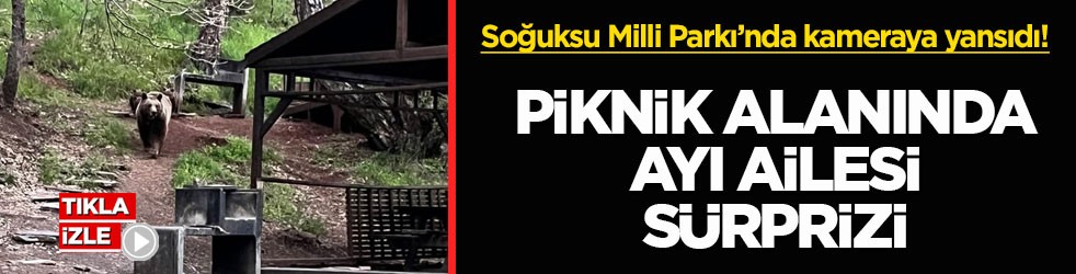 Soğuksu Milli Parkı’nda kameraya yansıdı! Piknik alanında ayı ailesi sürprizi