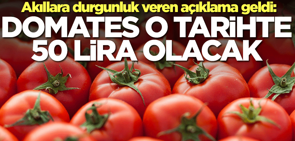 Şok eden açıklama: Domates o tarihte 50 lira olacak