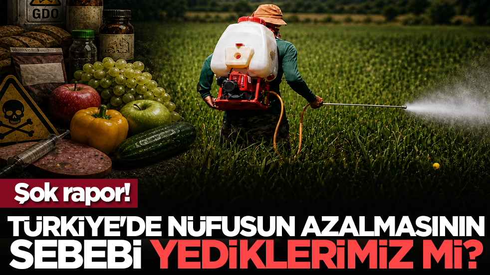 Şok rapor! Türkiye'de nüfusun azalmasının sebebi yediklerimiz mi?