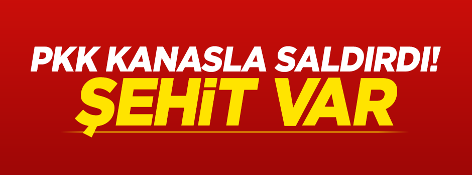 Sokağa çıkma yasağının olduğu Silvan'da 1 polis şehit!