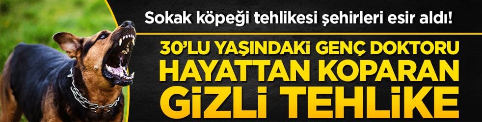 Sokak köpeği tehlikesi şehirleri esir aldı! 30’lu yaşındaki genç doktoru hayattan koparan gizli tehlike