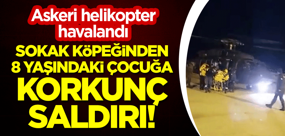Sokak köpeğinden 8 yaşındaki çocuğa korkunç saldırı! Askeri helikopter havalandı