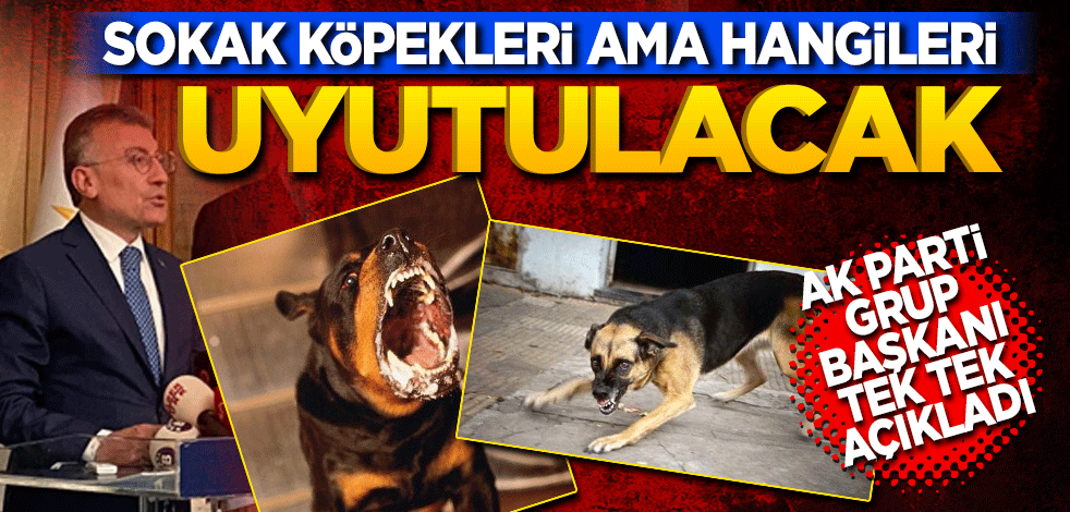 Sokak köpekleri ama hangileri uyutulacak? AK Parti Grup Başkanı Güler tek tek açıkladı