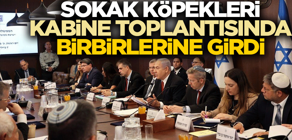 Sokak köpekleri kabine toplantısında birbirlerine girdi