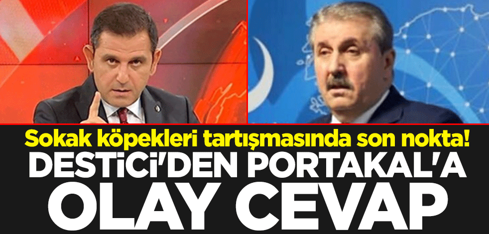 Sokak köpekleri tartışmasında son nokta! Mustafa Destici'den Fatih Portakal'a olay cevap