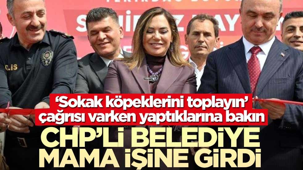 ‘Sokak köpeklerini toplayın’ çağrısı varken yaptıklarına bakın! CHP’li belediye mama işine girdi