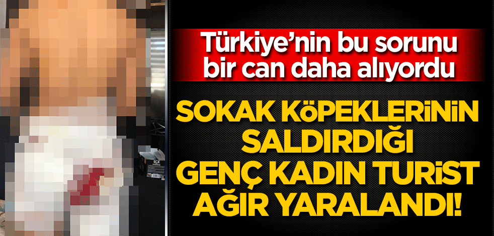 Sokak köpeklerinin saldırdığı genç kadın turist ağır yaralandı!