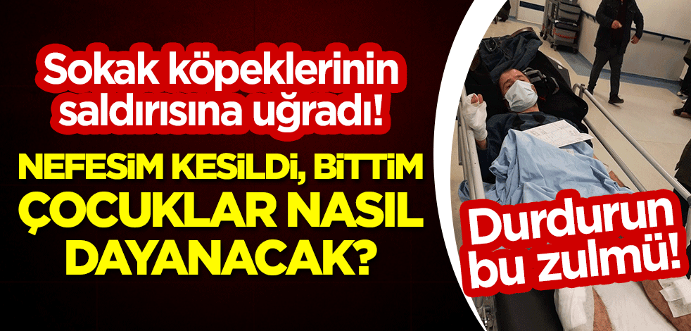 Sokak köpeklerinin saldırısına uğradı! "Nefesim kesildi, bittim, çocuklar nasıl dayanacak?"