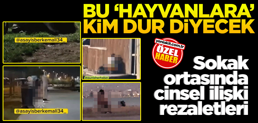 Sokak ortasında cinsel ilişki rezaletleri! Bu ‘hayvanlara’ kim dur diyecek?
