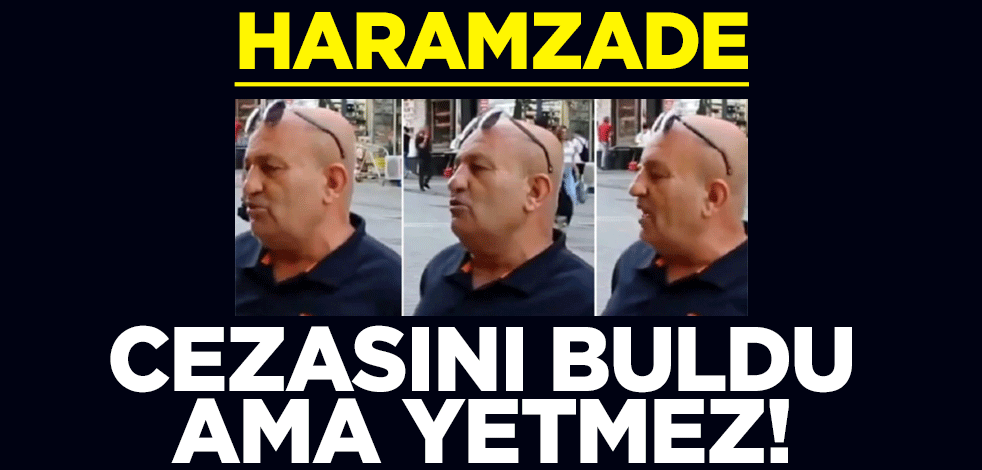 Sokak röportajında Hz. Muhammed'e küfretmişti! Haramzade cezasını buldu ama yetmez