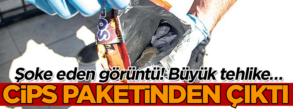 Şoke eden görüntü! Büyük tehlike… Cips paketinden çıktı