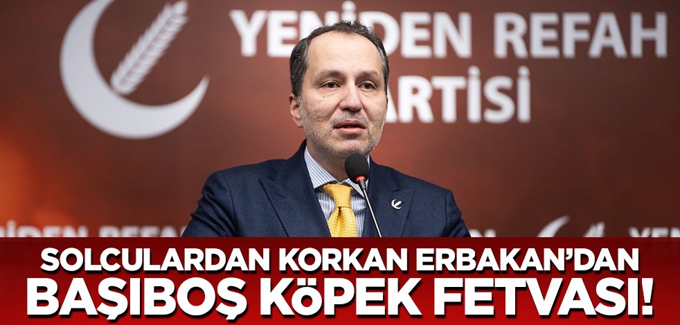 Solculardan korkan Fatih Erbakan'dan fetva! 'Köpeklerin uyutulması inancımıza uygun değil'