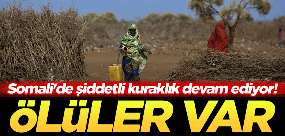 Somali'de şiddetli kuraklık devam ediyor! Ölüler var