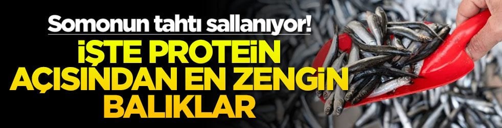 Somonun tahtı sallanıyor! İşte protein açısından en zengin balıklar
