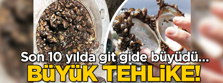 Son 10 yılda git gide büyüdü… Büyük tehlike!