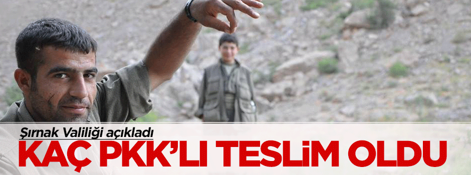 Son 2 yılda Şırnak'ta kaç PKK'lı teslim oldu?