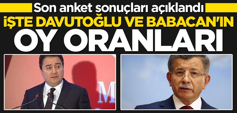 Son anket sonuçları açıklandı! Davutoğlu ve Babacan'a büyük şok
