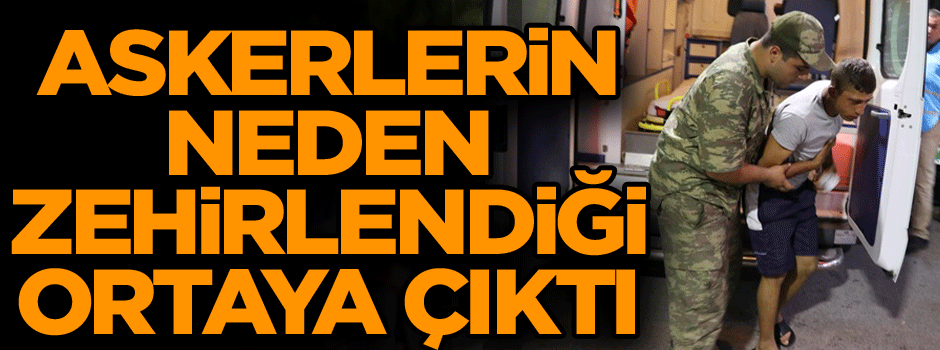 Son dakika... Askerlerin neden zehirlendiği ortaya çıktı