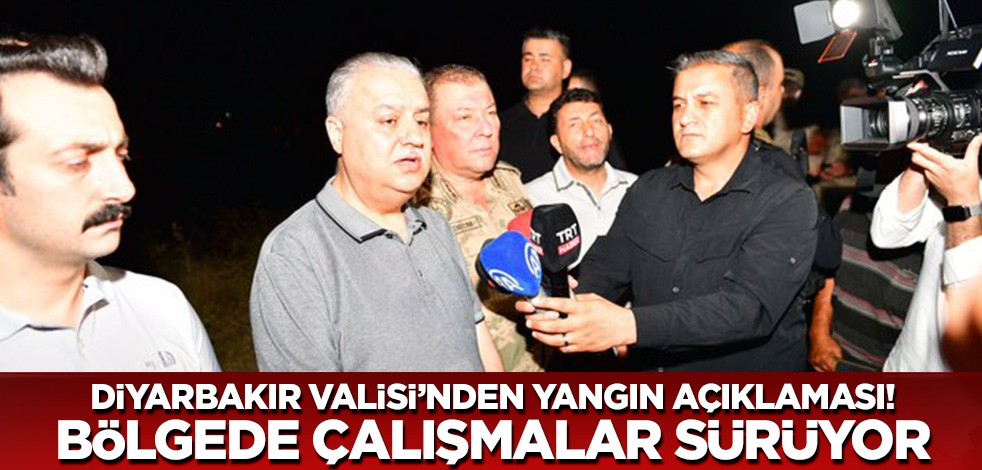 Son dakika! Diyarbakır Valisi'nden yangın açıklaması