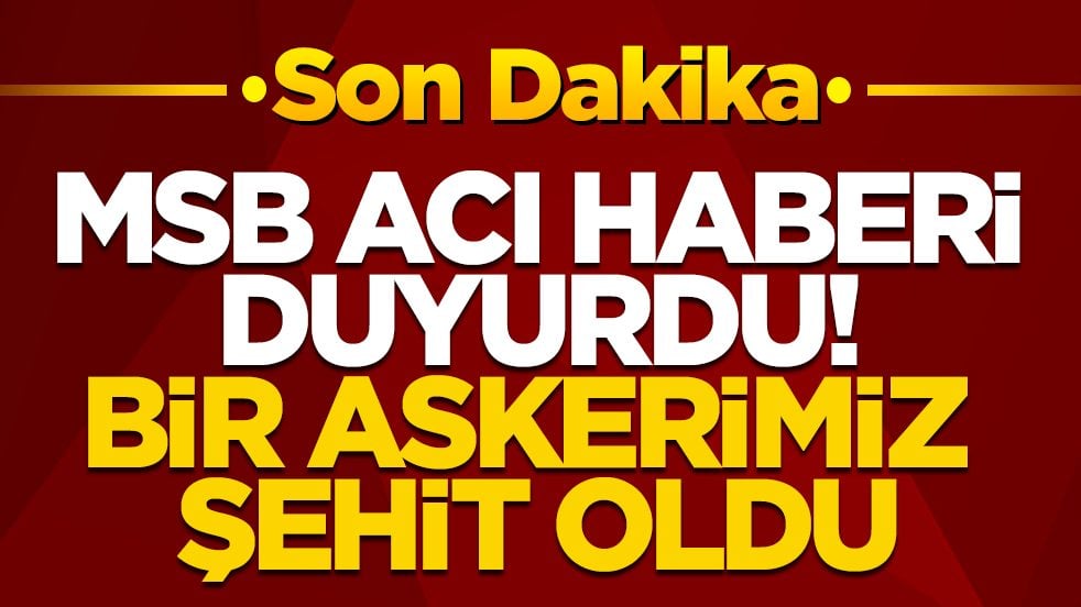 Son dakika: MSB acı haberi duyurdu! Bir askerimiz şehit oldu