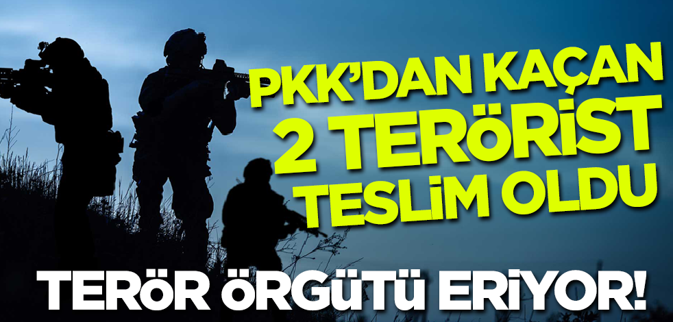 Son dakika! PKK'dan kaçan 2 terörist teslim oldu