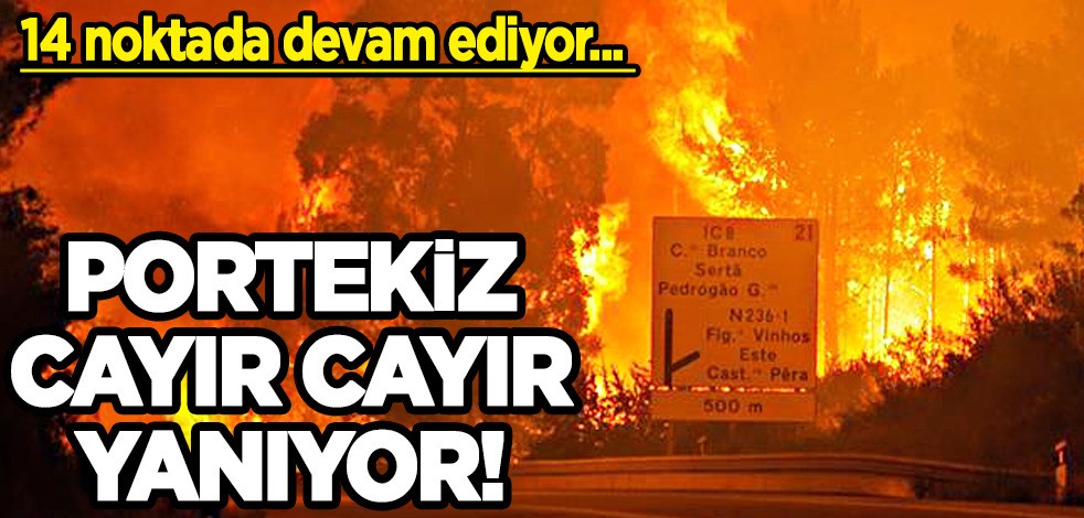 Son dakika: Portekiz'de orman yangınları devam ediyor! Uçakla müdahale ediliyor