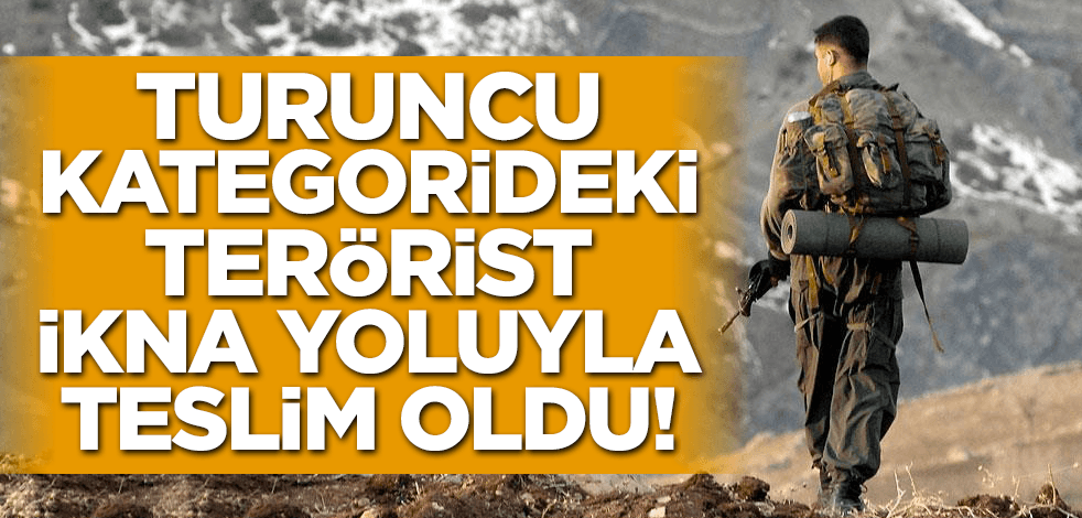 Son dakika! Turuncu kategorideki terörist ikna yoluyla teslim oldu