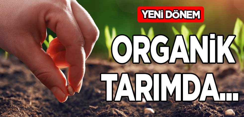 Son dönemde 5 yılın stratejik Organik tarımda tüm fırsatlar büyük! Ortaya çıktı! Üreticisi mesaisine başladı