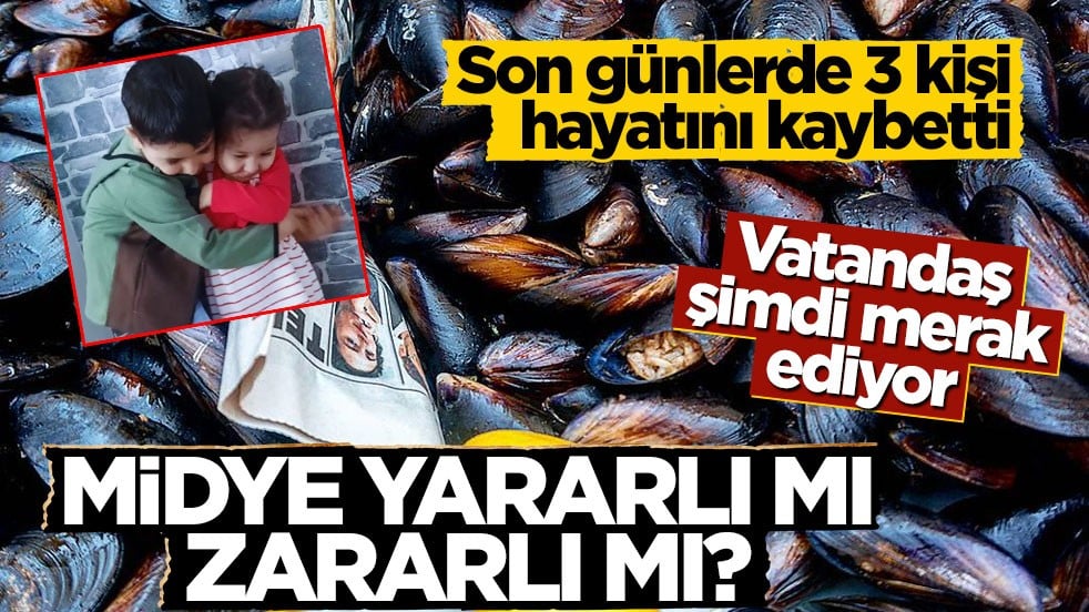 Son günlerde 3 kişi hayatını kaybetti! Vatandaş şimdi merak ediyor: Midye yararlı mı zararlı mı?