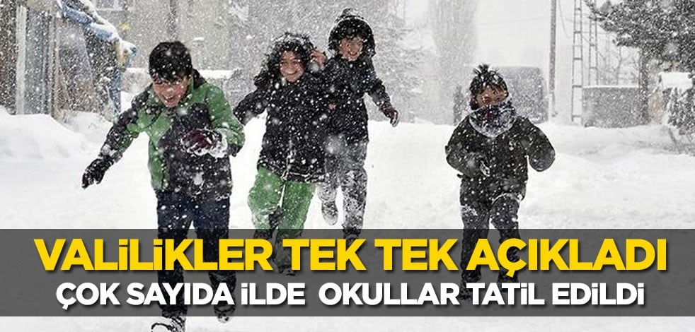 Son günlerde etkili olan kar yağışı nedeniyle bir çok ilde okullar tatil edildi