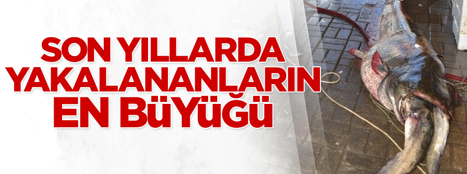 Son yıllarda yakalananların en büyüğü
