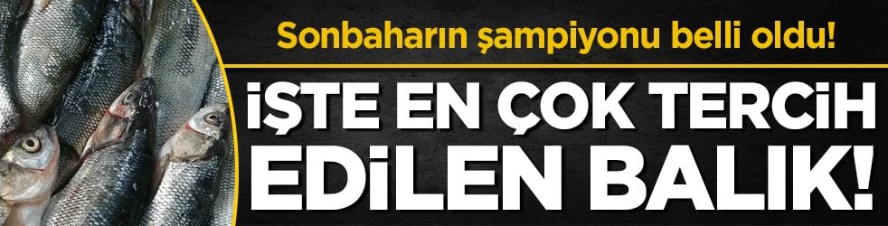 Sonbaharın şampiyonu belli oldu: İşte en çok tercih edilen balık!