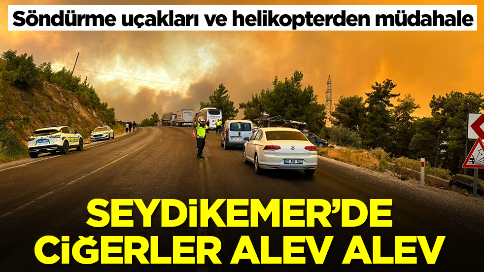Söndürme uçakları ve helikopterden müdahale: Seydikemer'de ciğerler alev alev