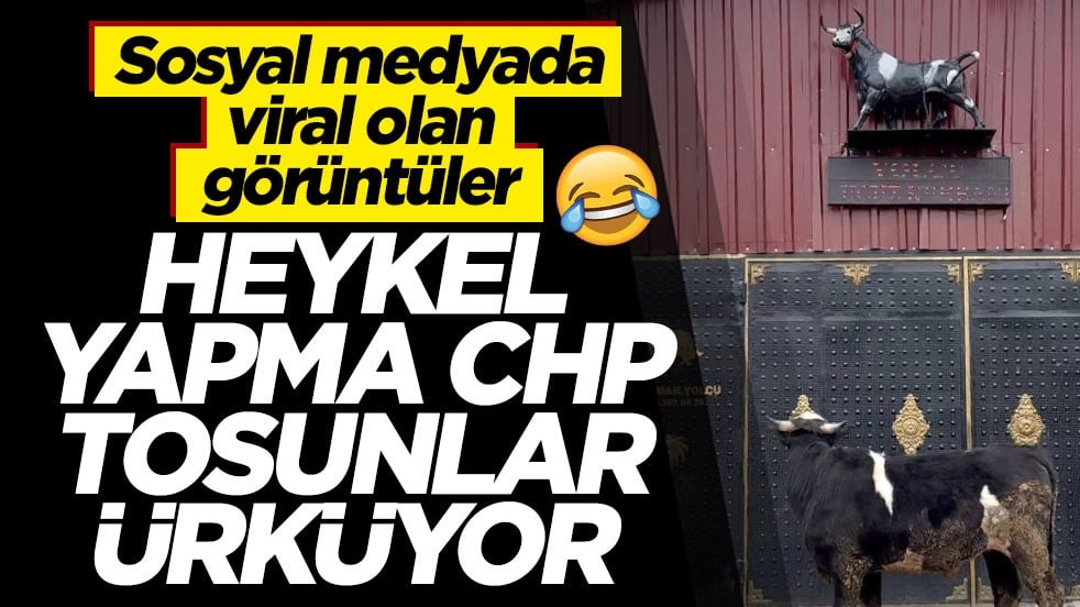 Sosyal medyada viral olan görüntüler! Heykel yapma CHP tosunlar ürküyor