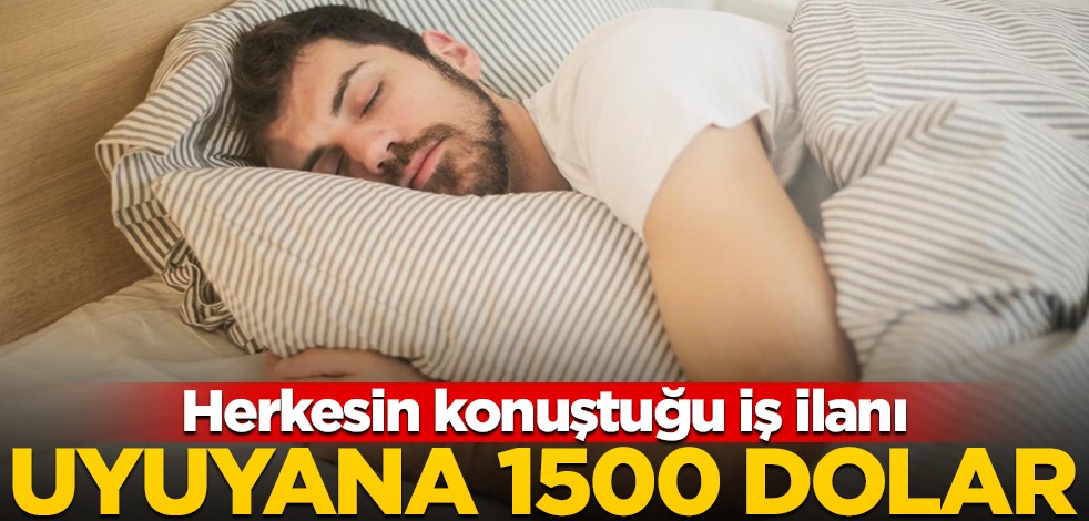 Sosyal medyanın konuştuğu iş ilanı: 5 kişiye 1500 dolar verecekler