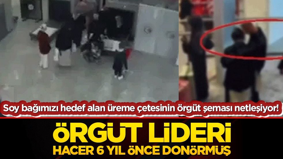 Soy bağımızı hedef alan üreme çetesinin örgüt şeması netleşiyor! Örgüt lideri Hacer 6 yıl önce donörmüş