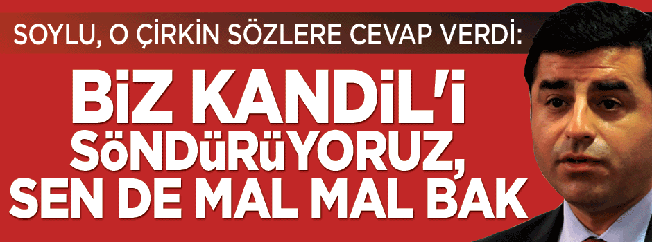 Soylu: Biz Kandil'i söndürüyoruz, sen de mal mal bakıyorsun