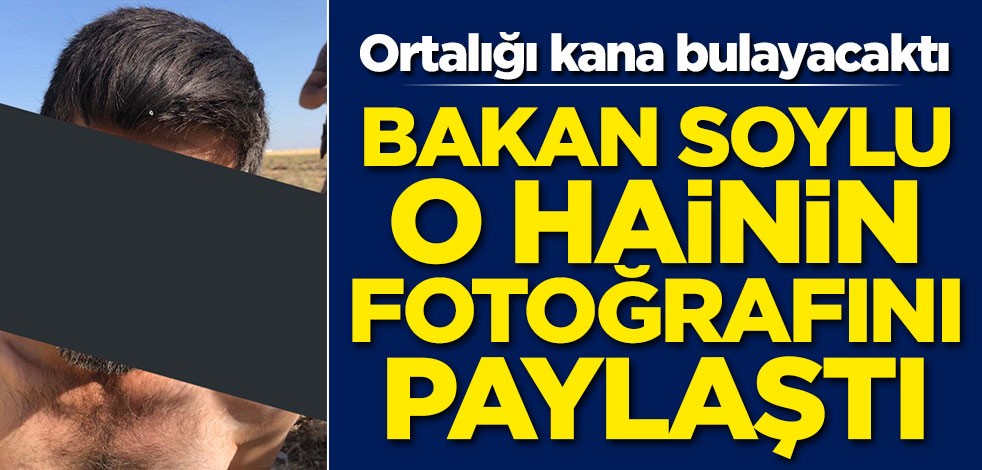Soylu hainin fotoğrafını paylaştı! Ortalığı kana bulayacaklardı