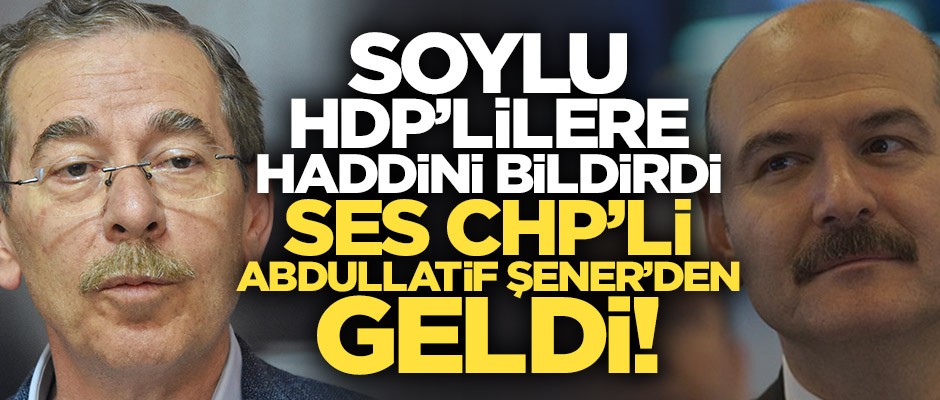 Soylu, HDP'lilere haddini bildirdi! Abdüllatif Şener rahatsız oldu