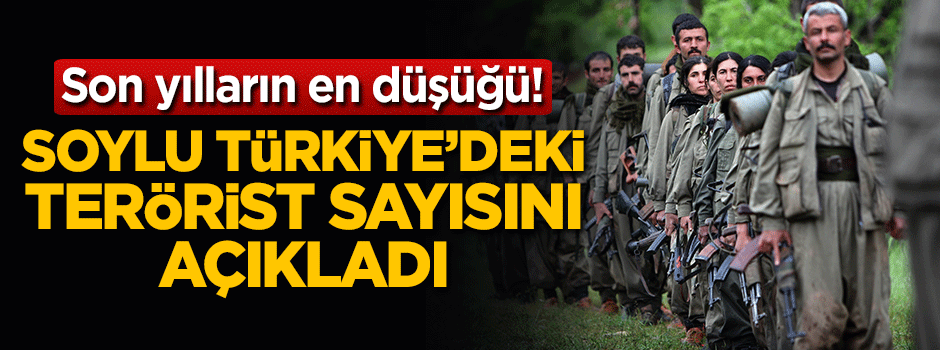 Soylu Türkiye'deki terörist sayısını açıkladı