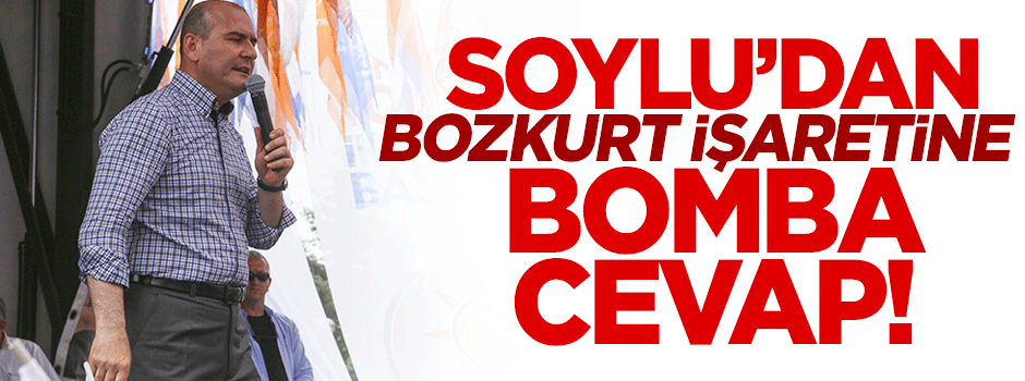 Soylu'dan bozkurt işareti yapanlara bomba cevap