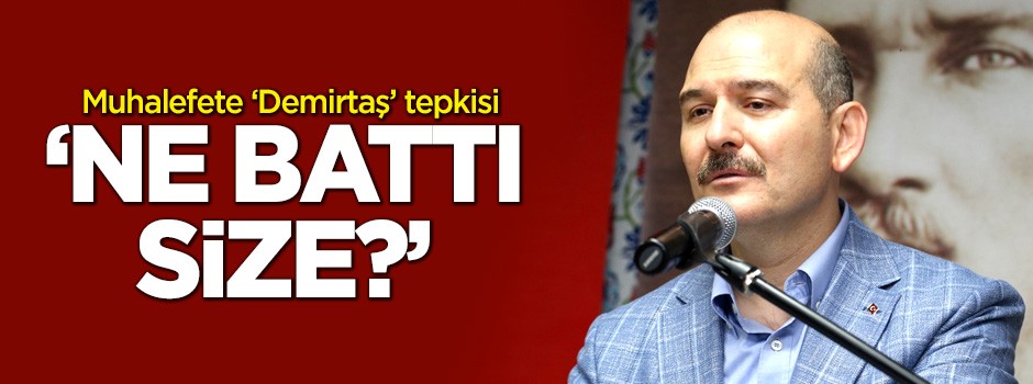 Soylu’dan muhalefete sert 'Demirtaş' tepkisi