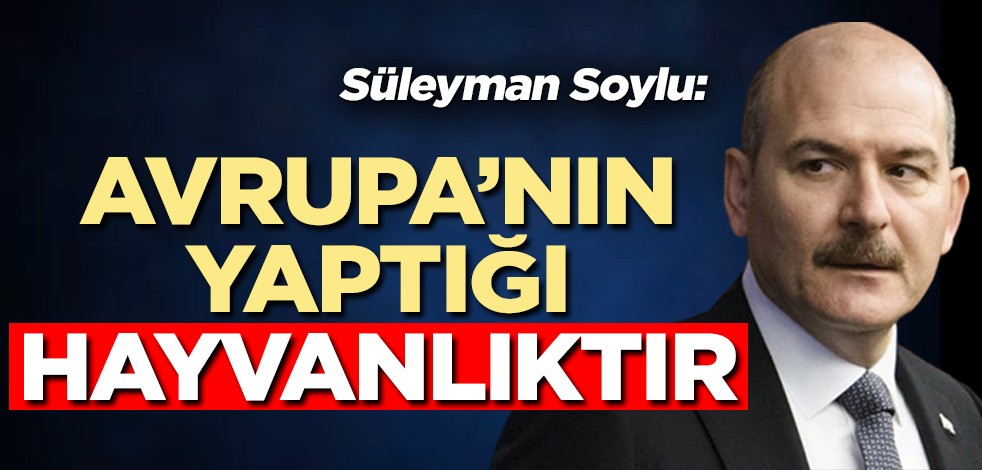 Soylu’dan mülteci tepkisi: Avrupa’nın yaptığı hayvanlıktır!