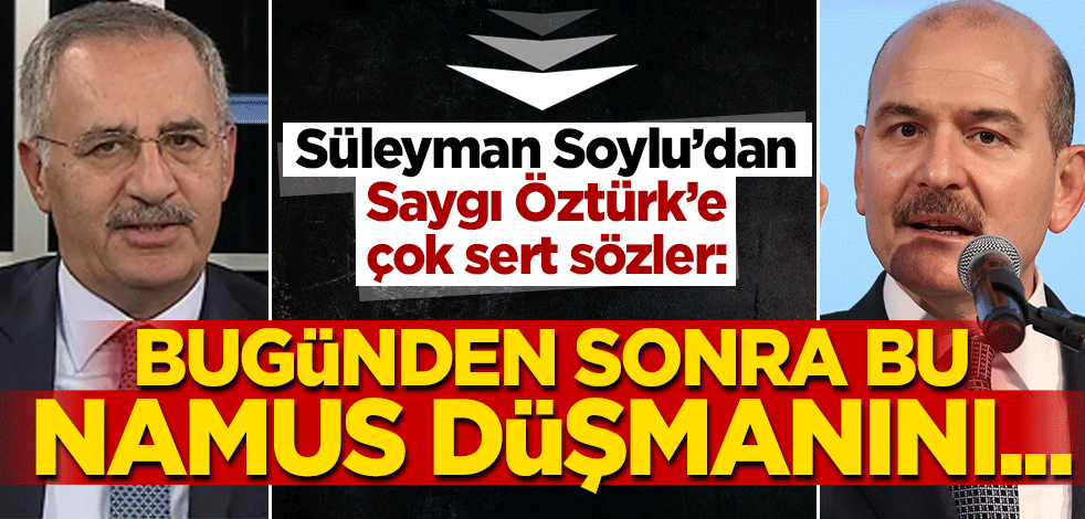 Soylu'dan Saygı Öztürk'e sert tepki: Bu namussuzluktur!