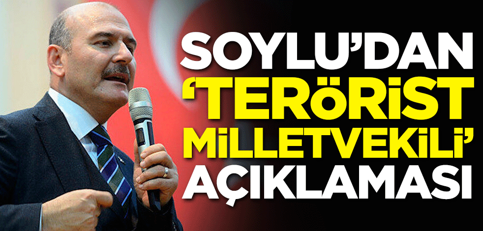 Soylu'dan 'terörist milletvekili' açıklaması