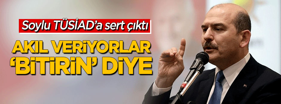 Soylu'dan TÜSİAD'a sert tepki: Akıl veriyorlar, 'bitirin' diye