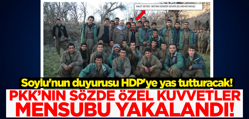 Soylu'nun duyurusu HDP'ye yas tutturacak! PKK'nın sözde özel kuvvetler mensubu İstanbul'da yakalandı